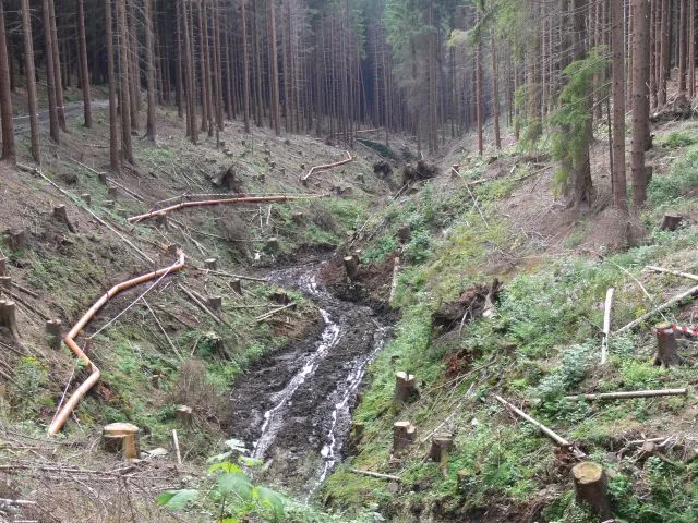 Rüstungsaltstandort Rohrbach - Hirschhagen